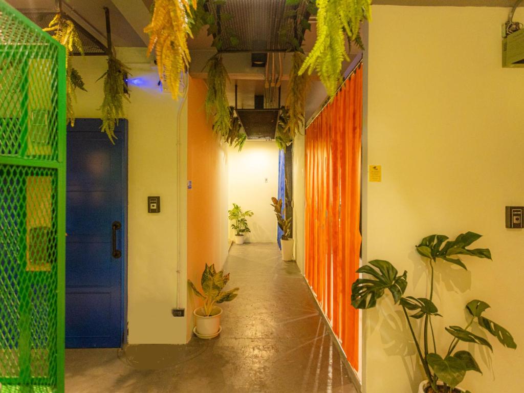 Khao San Social Capsule Hostel Khao San Social Capsule Hostel