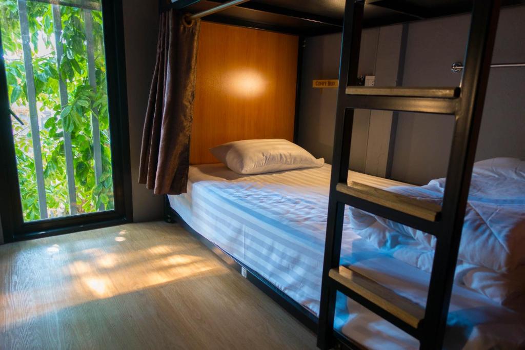 Comfy Bed Hostel Comfy Bed Hostel