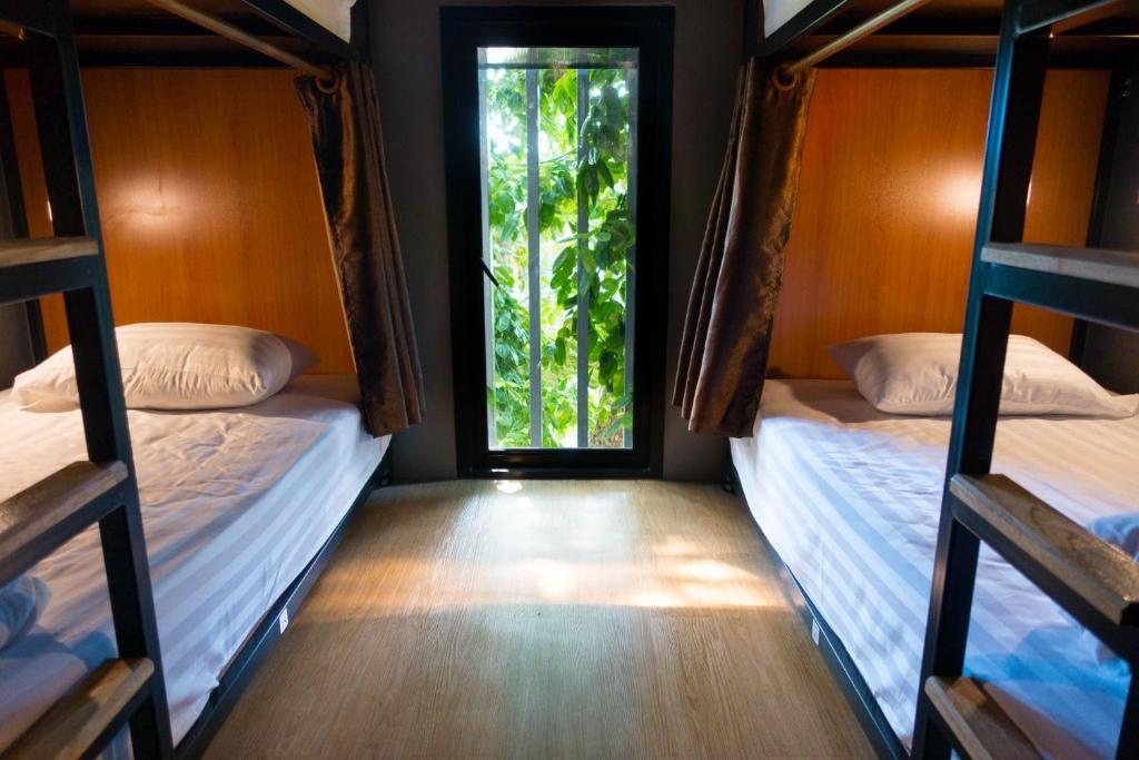 Comfy Bed Hostel Comfy Bed Hostel