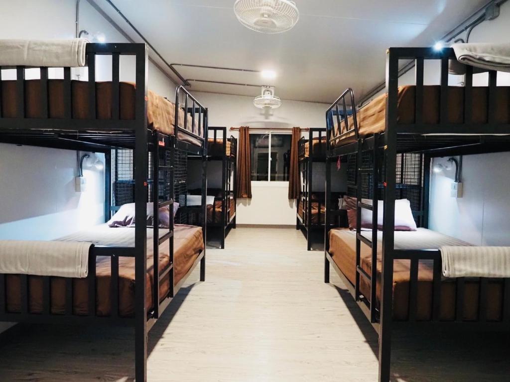 Wild Ones Hostel Wild Ones Hostel