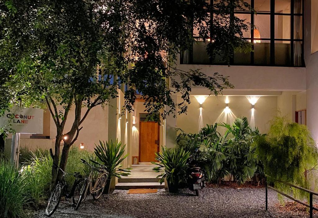 Coconut Lane Bangkok Coconut Lane Bangkok