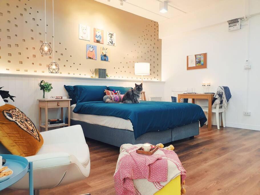 Double Studio, Private Bath & Balcony, Shared Kitchen with Local Family by Pillows & Purrs Double Studio, Private Bath & Balcony, Shared Kitchen with Local Family by Pillows & Purrs