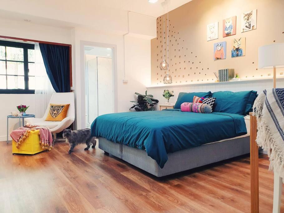 Double Studio, Private Bath & Balcony, Shared Kitchen with Local Family by Pillows & Purrs Double Studio, Private Bath & Balcony, Shared Kitchen with Local Family by Pillows & Purrs