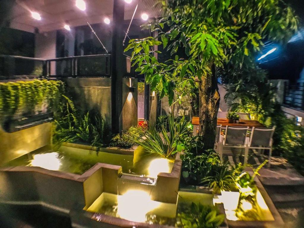 Exclusive access to the whole garden.