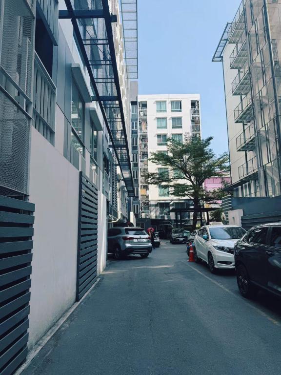 静港湾 静港湾